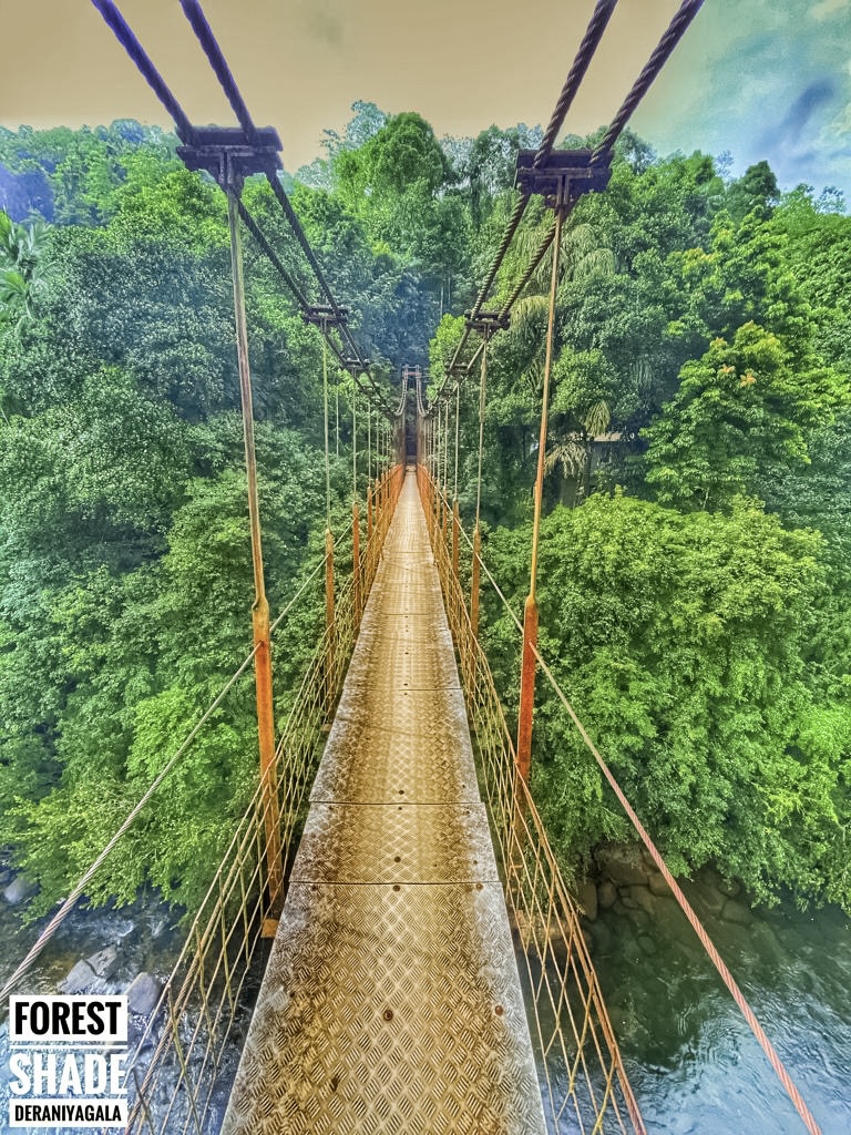 Bridge on the way to Forest Shade Eco Resort Deraniyagala